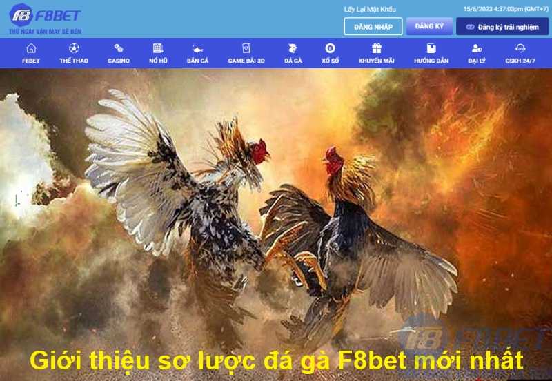 Giới thiệu sơ lược đá gà F8bet mới nhất