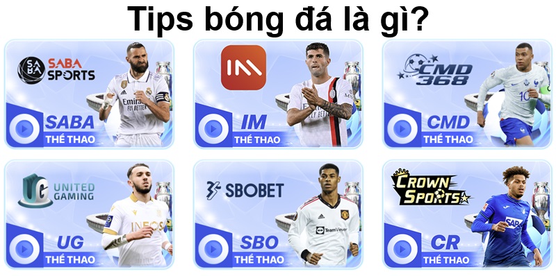 Tips bóng đá là gì?