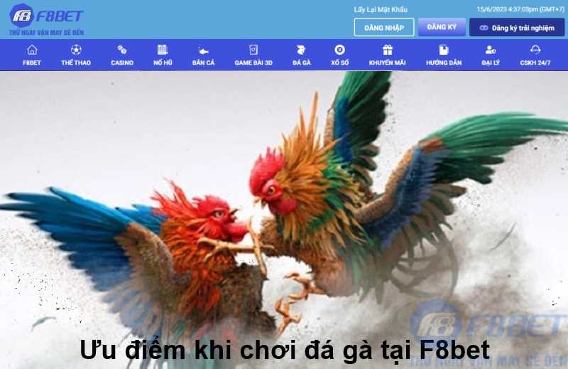 Ưu điểm khi chơi đá gà tại F8bet